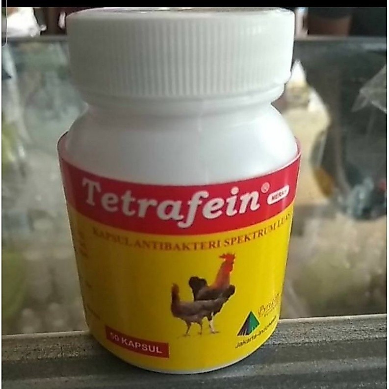 1 BOTOL tetrafein 50kapsul obat ayam burung radang infeksi nd crd snot bengkak Lampam ID
