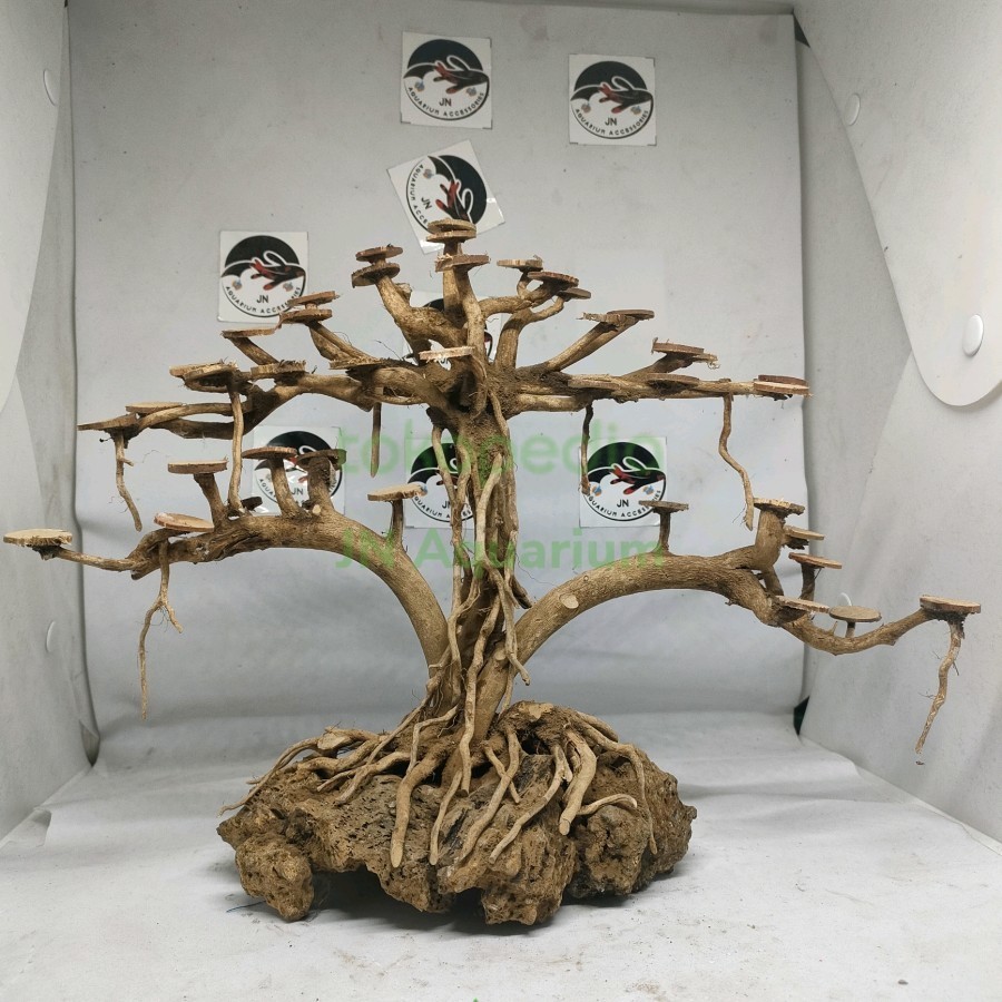Tebing Akar Kayu Bonsai Beringin Double Hiasan Aquarium Aquascape