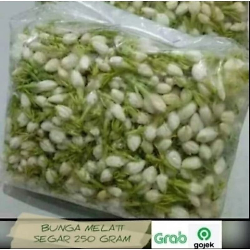 Melati Fresh Segar / Bunga tabur melati