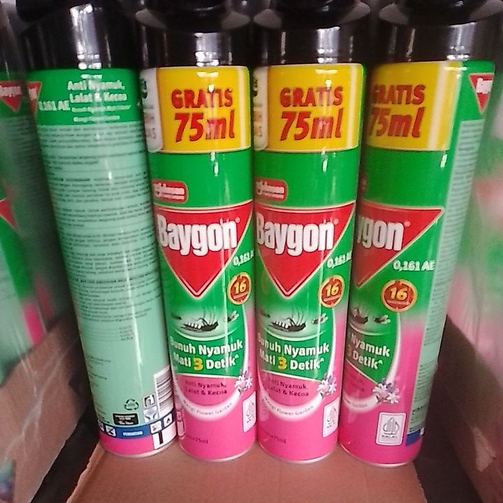 Baygon Obat Nyamuk Wangi Semprot - Flower Garden 600+75ml