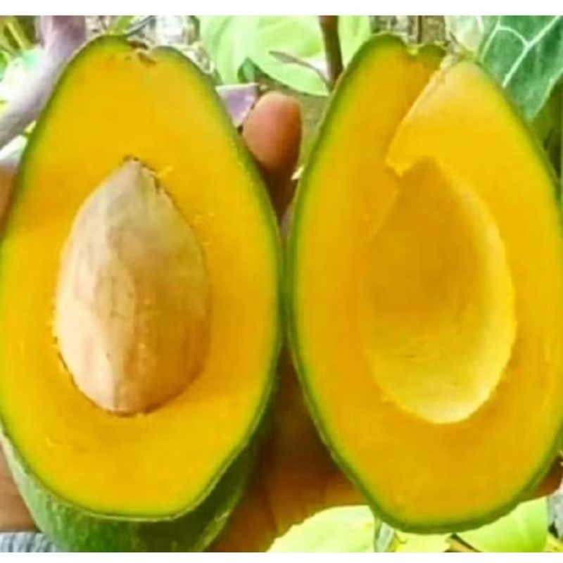 

ALPUKET MENTEGA FRESS LEZAAAT 1 KG ISI 3-4-5