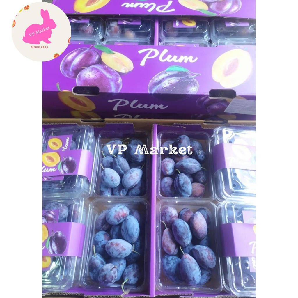 

Buah Plum Sugar Manis Fresh / Buah Plum Sugar Import / Pack