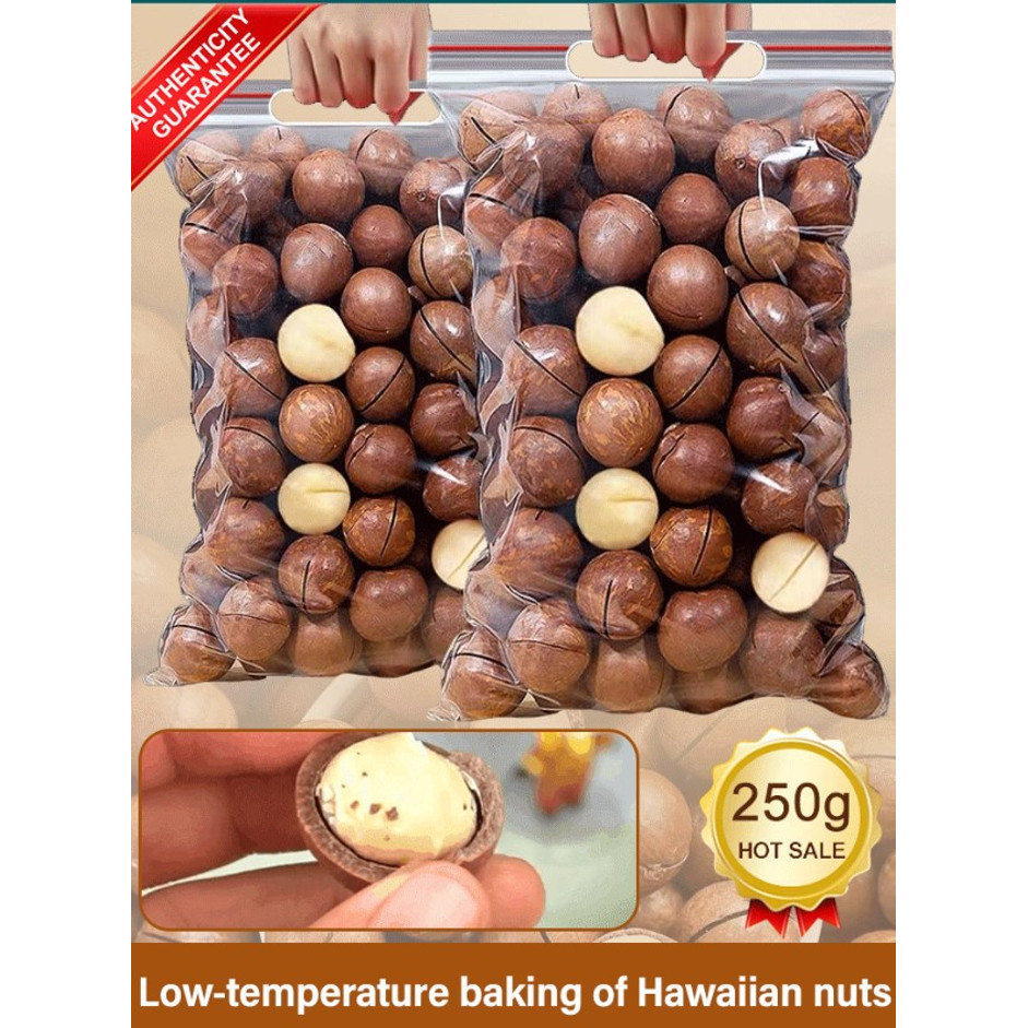 

Kacang macadamia, camilan lembut dalam kantong, dipanggang dalam suhu rendah, ukuran besar