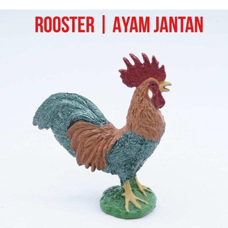 Rooster Chicken Ayam Jantan Jago Gallus gallus domesticus Mainan Figure Binatang Miniature Hewan Ani