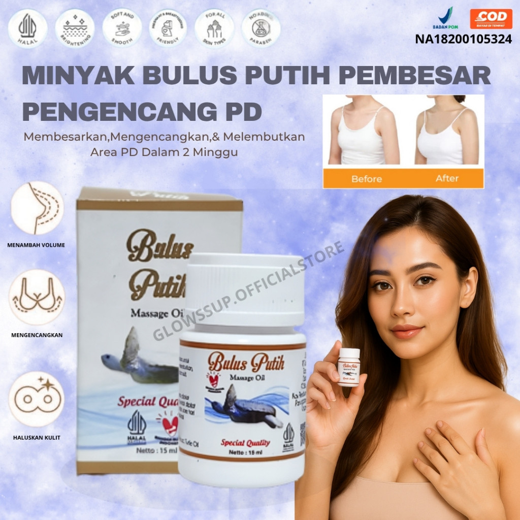 MINYAK BULUS PUTIH PEMBESAR PAYUDARA PENGENCANG PAYUDARA PENGHILANG BEKAS LUKA MINYAK BULUS ORIGINAL