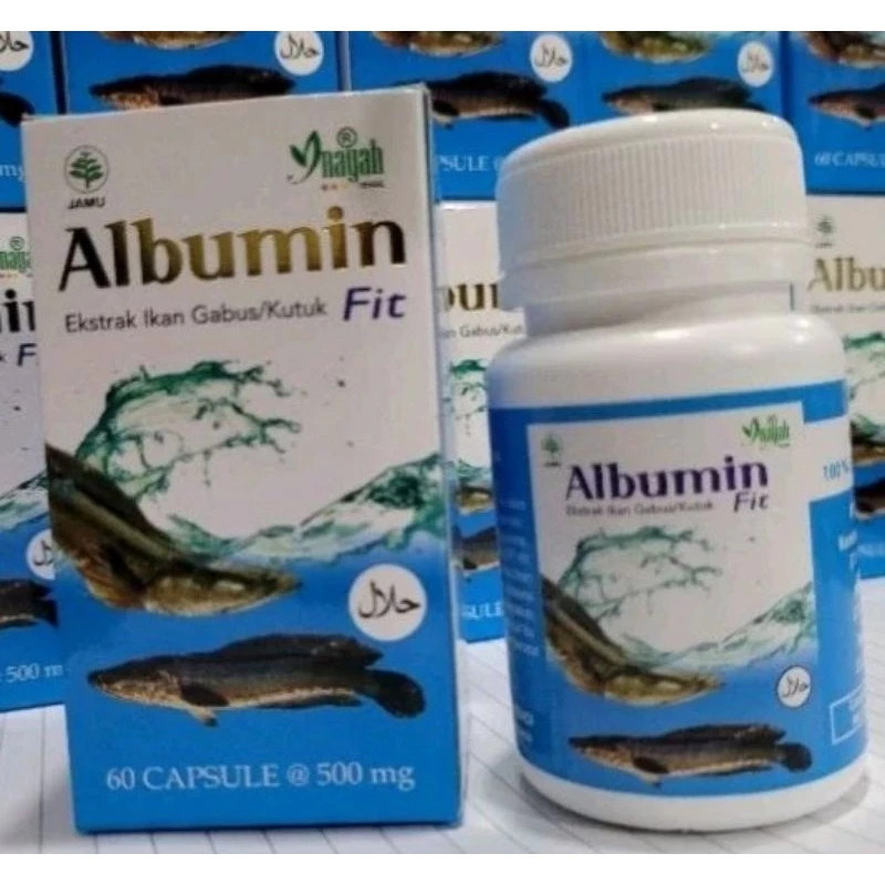 Ekstrak ikan gabus Ekstrak Ikan Gabus 60 kapsul Albumin Fit inayah herbal