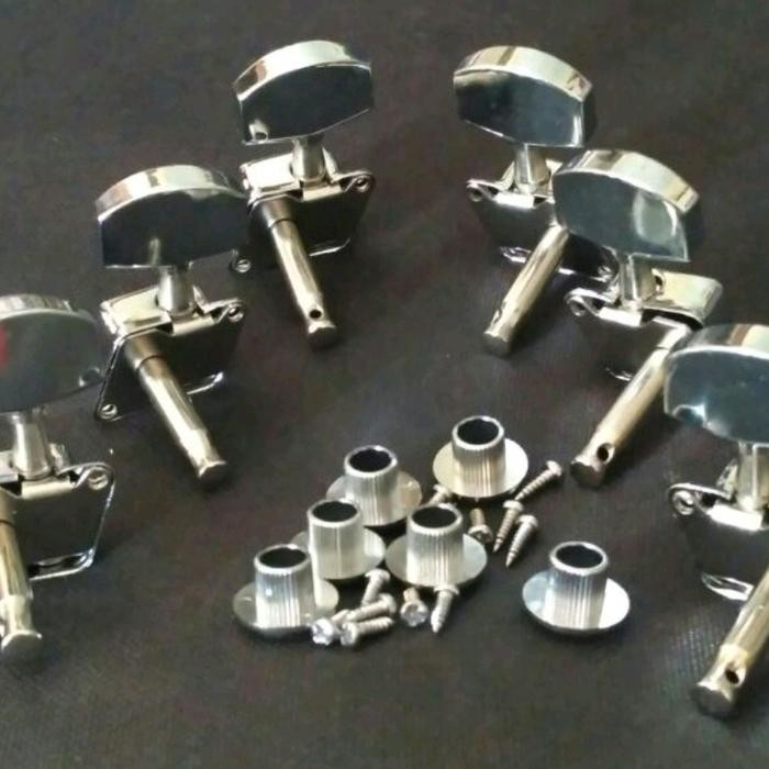 Dryer Drayer gitar akustik elektrik Fender