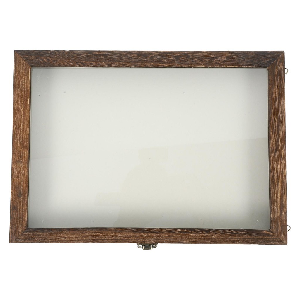 Display Cabinet Insect Box Beetles Specimens Container Bugs Boxes for Kids Entomology Case Coffee Bu