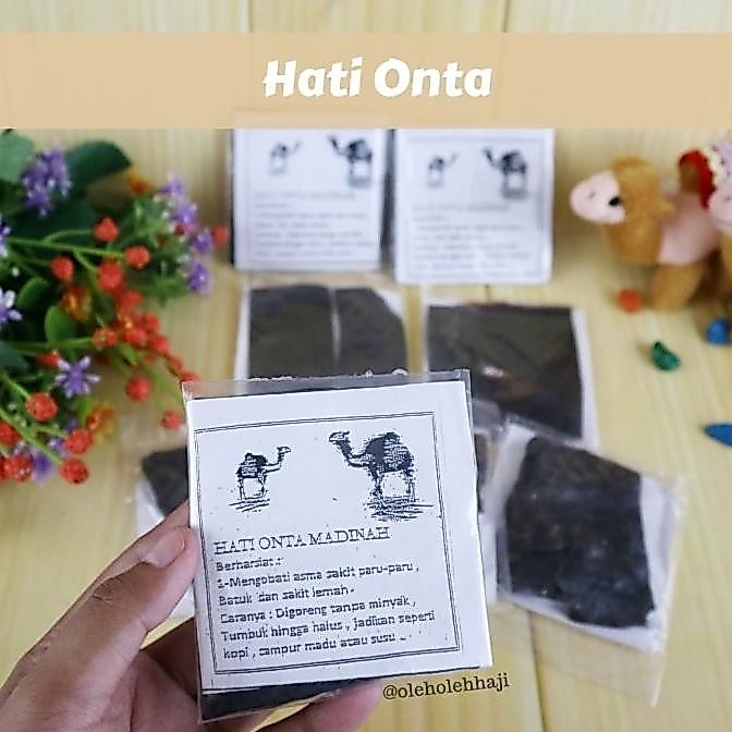 Bestseller Hati Unta Onta Madinah Obat Asma dan Sesak Nafas Obat Herbal