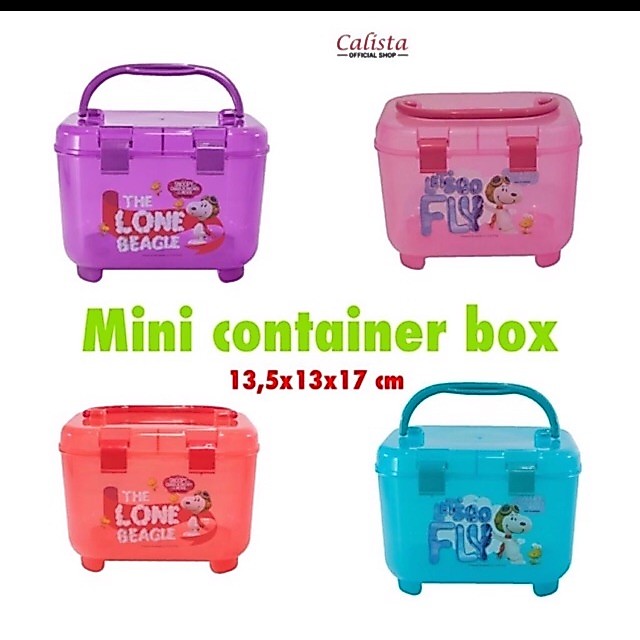 Souvenir box container calista box snack