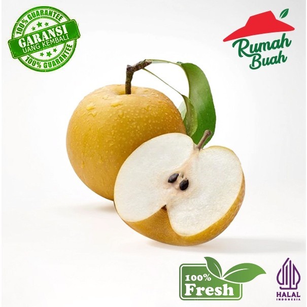 

BUAH PEAR SINGO KOREA [RUMAH BUAH] BEST SELLER