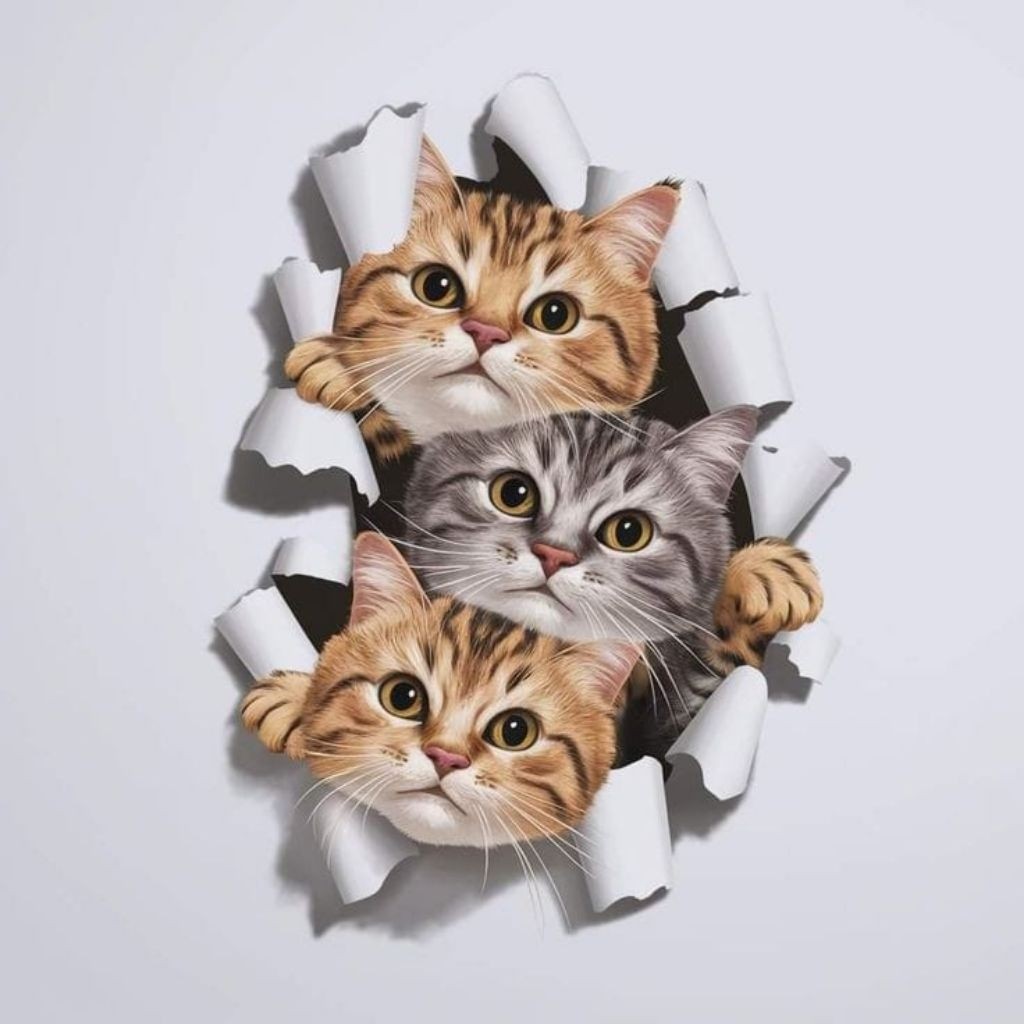 

stiker 3D kucing lucu, stiker print, sudah cutting, size 15 x 20 cm, anti air