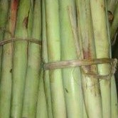 

Promo Trubuk Turubuk Trubus Telor Tebu Tiwu endong Turubuk cobek