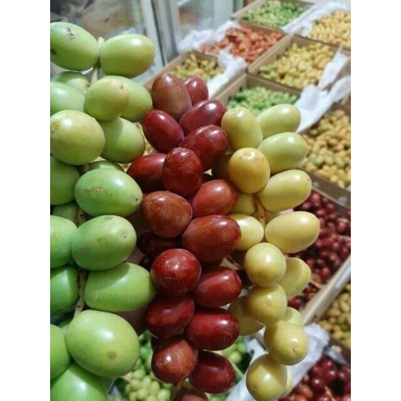 

KURMA MUDA UNTUK PROGRAM HAMIL FRESH BUKAN FROZEN