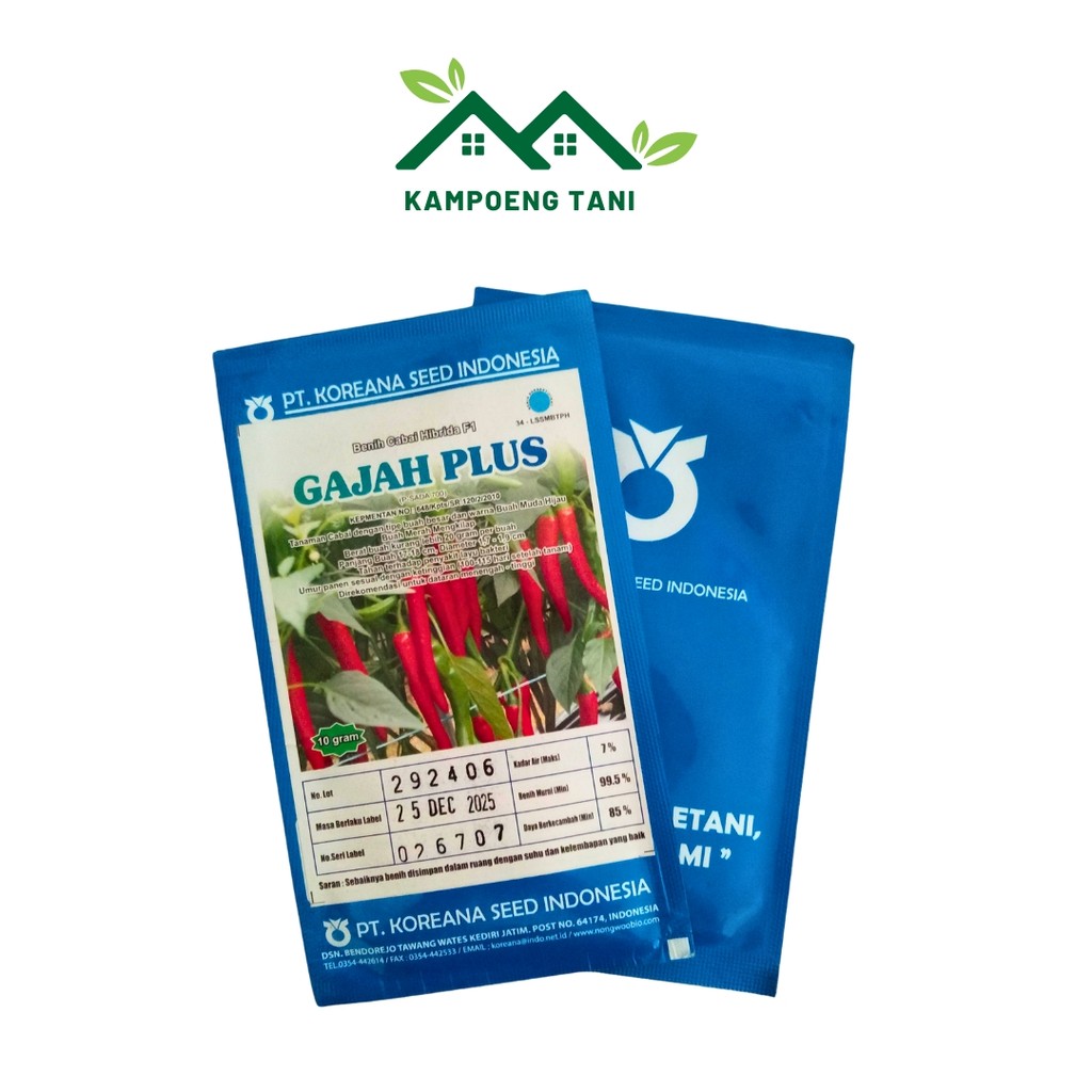 Benih Cabe Gajah Plus F1 Koreana Seed 10gr – Panjang 17cm, Panen 100 HST