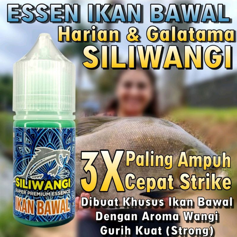 Essen Ikan Bawal Essen Siliwangi Original Essen Premium Essen Ikan Bahan Essen Terbaik Essen Ikan Ga