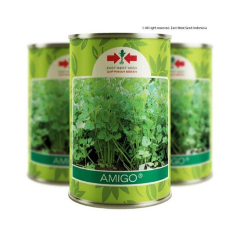 Saji.ID | CPM - 50 Gram Benih Seledri AMIGO F1 Kaleng dan BAMBY Exp 2026