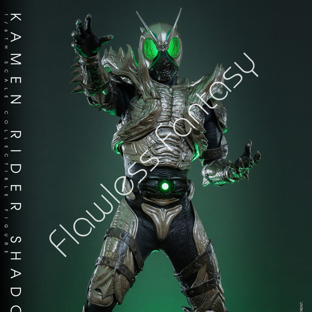Kamen Rider Shadow Moon Hot Toys Recast Action Figure