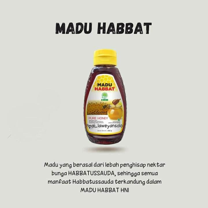 

HNI HPAI Madu Habbat Manfaat Membantu Pemulihan Setelah Sakit