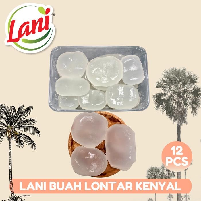 

SALE LANI Buah Lontar Premium (isi 12 biji) | Siap Konsumsi - KenyalTERLARIS