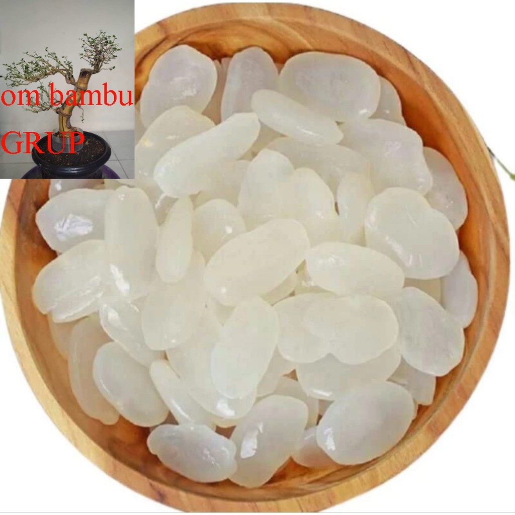 

1kg kolang kaling segar kolang kaling super bahan manisan berkualitas