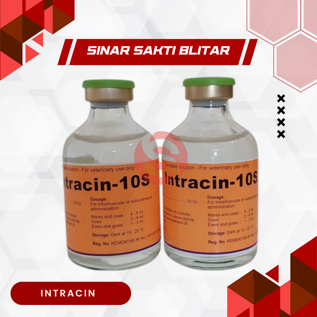 INTRACIN 5 ML INTRACIN 10 ML - Intracin 10s Pelancar Kelahiran Hewan Kelinci Anjing Kucing Kambing