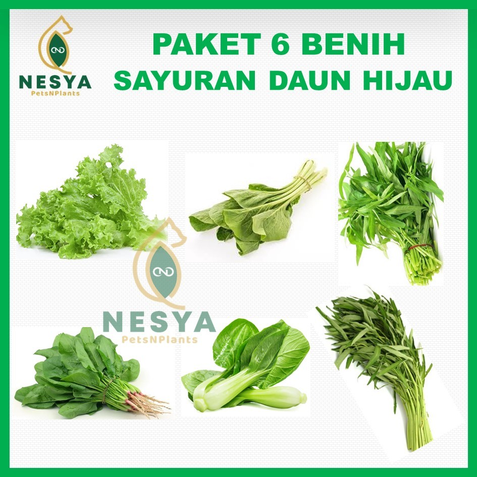 Paket 6 Benih Sayuran Daun Hijau - Paket Benih Sayur