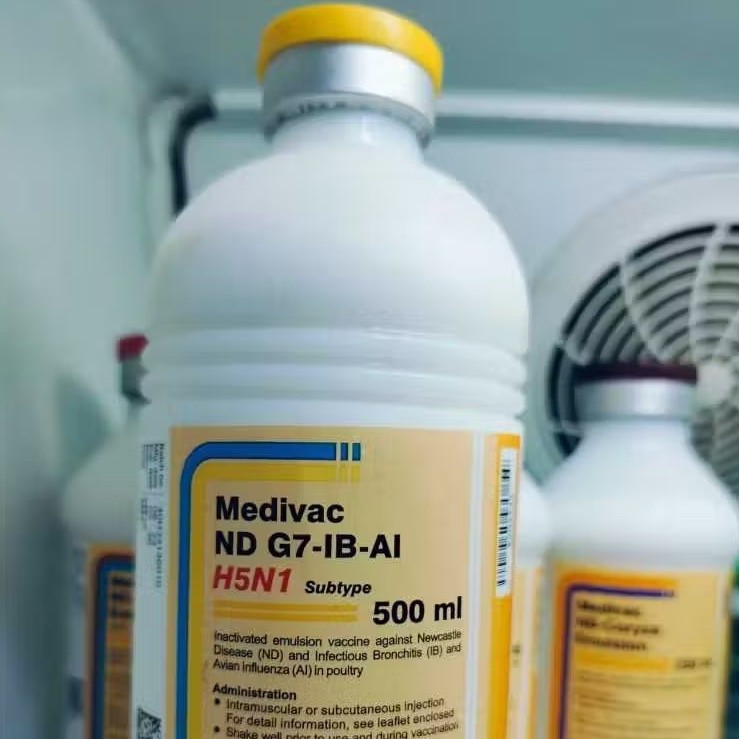 Medivac ND G7-IB-AI H5N1 50/25 ML Untuk Ayam Unggas