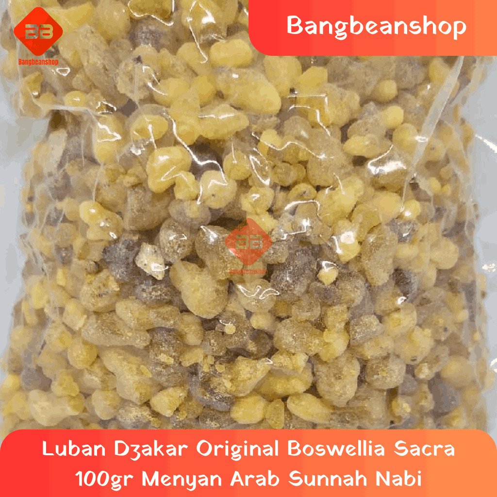Luban Dzakar Original Boswellia Sacra 100gr Menyan Arab Sunnah Nabi