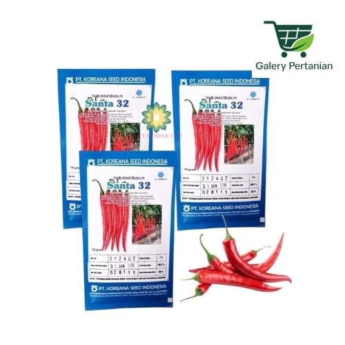 SANTA 32 10gr Benih Cabe Besar Original KOREANA SEED Bibit CMB Hibrida Vigor dan Tinggi