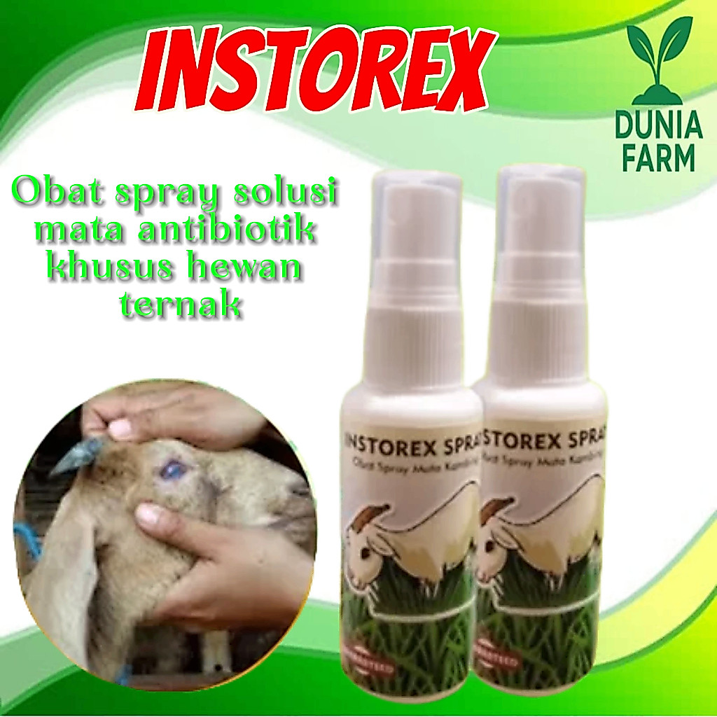 Obat Mata Hewan Sapi Kambing Antibiotik DUNIAFARM