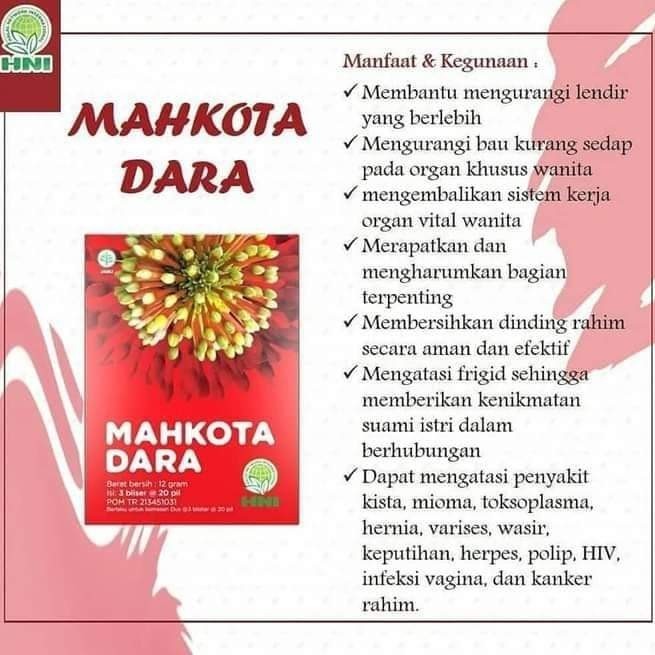 MAHKOTA DARA / Mustika Dara HNI-HPAI ORIGINAL