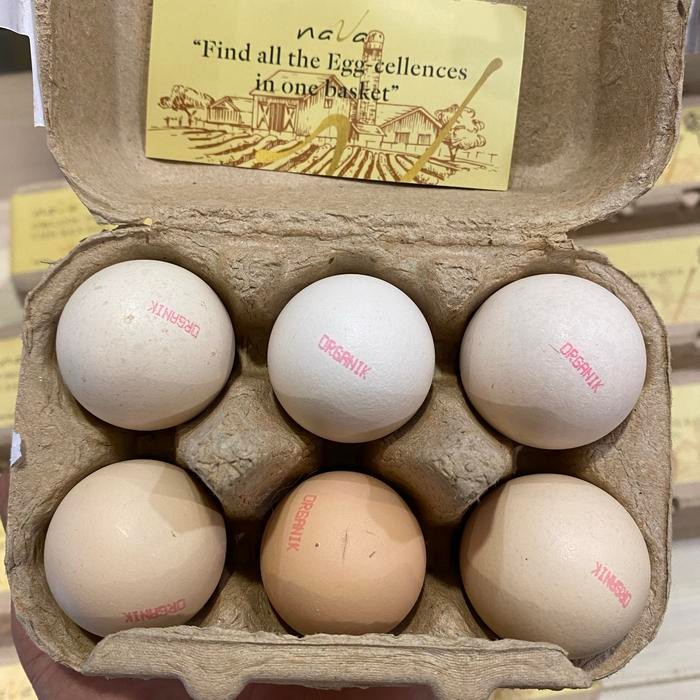 

Nava telur organic free range chiken eeg 6 pcs