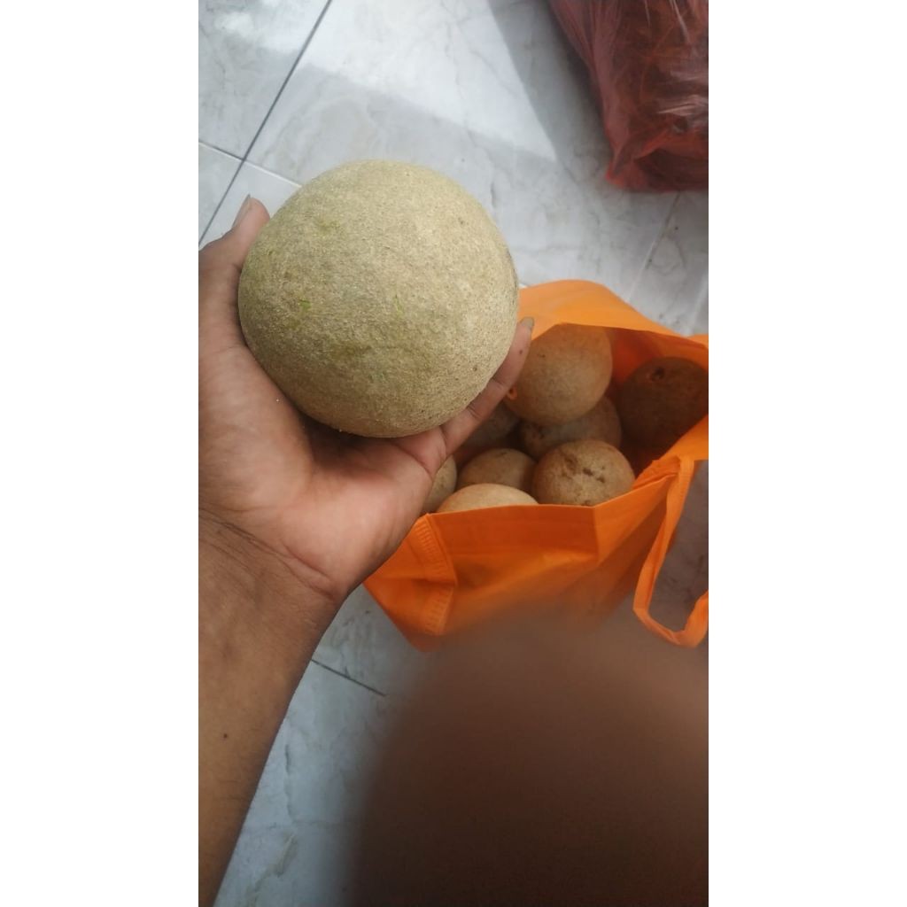 

khawista Buah kinco masak pohon 1 kg +