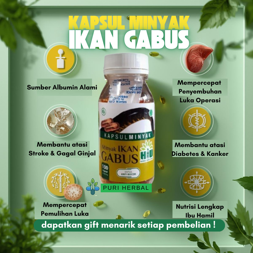 Kapsul Ikan Gabus – Albumin Tinggi untuk Percepat Penyembuhan  Luka Pasca Operasi, Diabetes & Ginjal