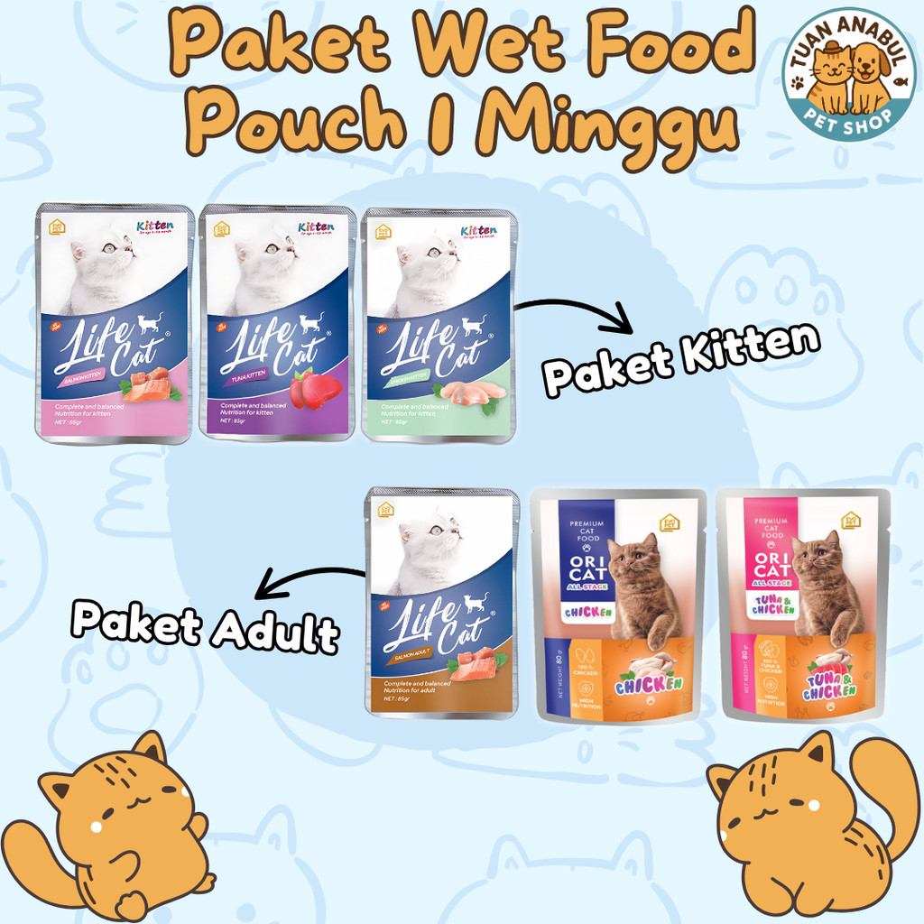 Paket Wet Food 1 Minggu  Paket Makanan Kucing Wet Food