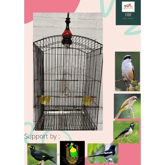 Sangkar burung Kandang burung KOTAK BESI NO 2 burung jalak, cucak ijo , beo, kacer
