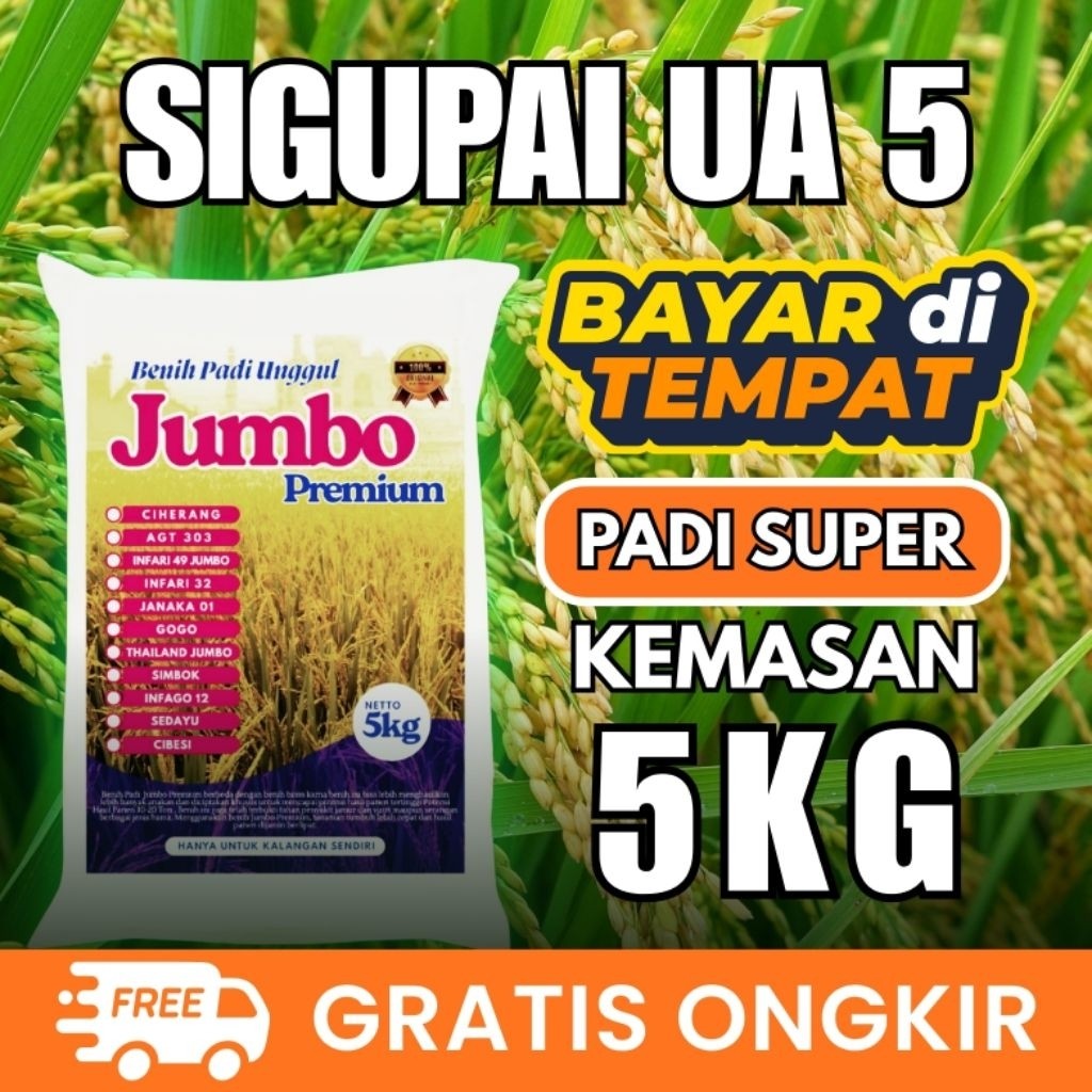 Benih Padi Sigupai ua5