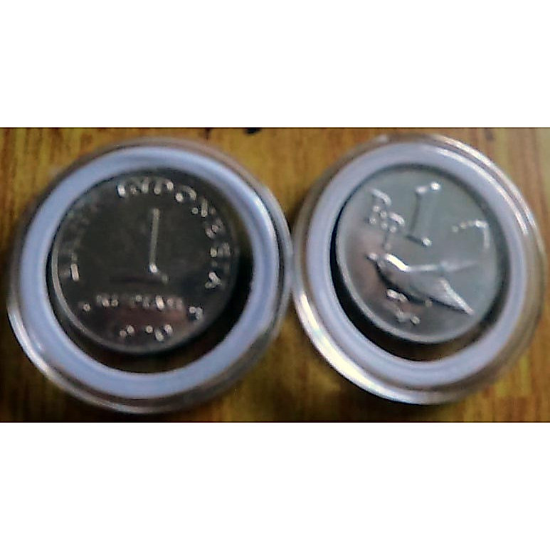 Koin 1 Rupiah 1970