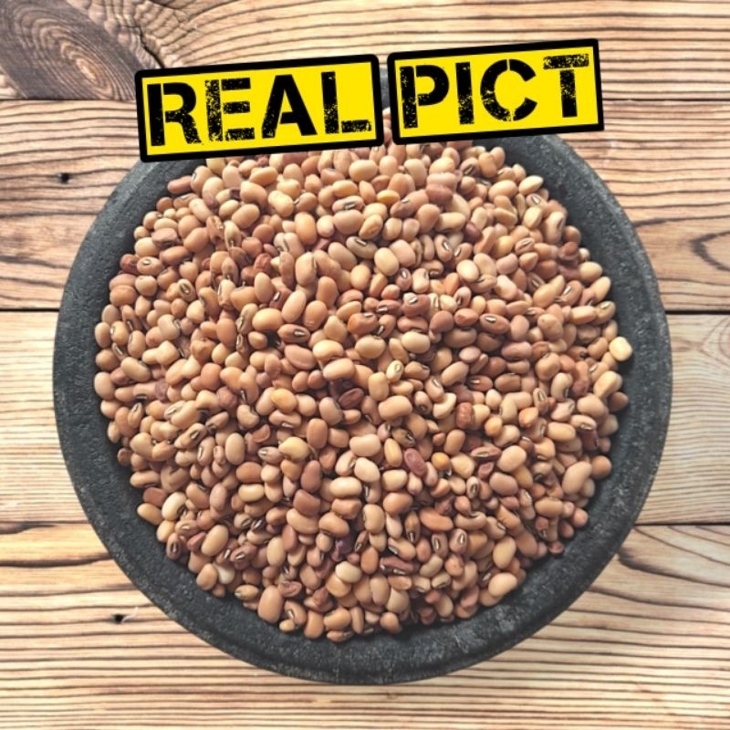 

(1KG) Kacang Tolo / kacangTunggak
