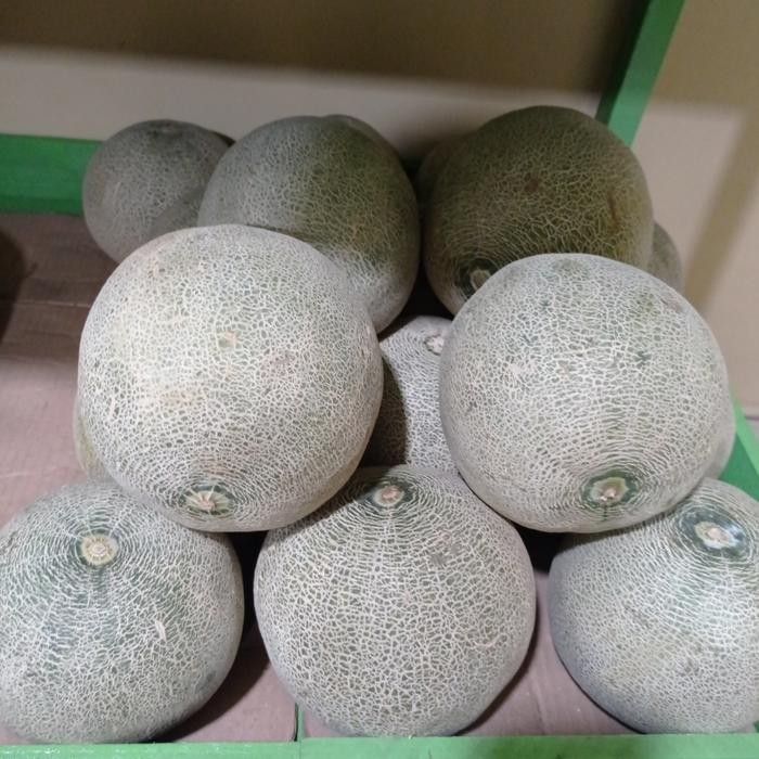 

Melon Hijau -+ 2 kg/pics