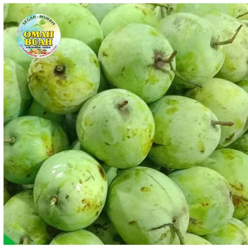 

instant Mangga Indramayu Segar 1kg sameday/Griya Sembada