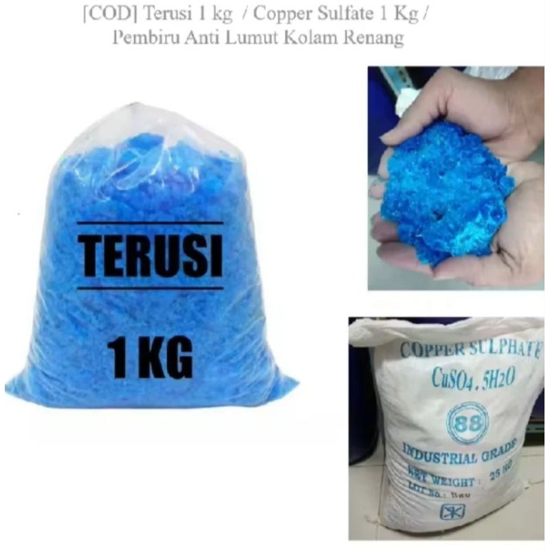 Terusi/Trusi/Pembiru air kolam/Penjernih air