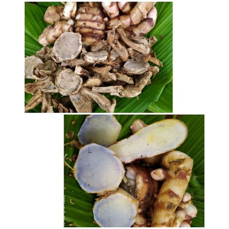 Temu Ireng Iris Kering 1 Kg / Temu Hitam / Kunyit Hitam Kering