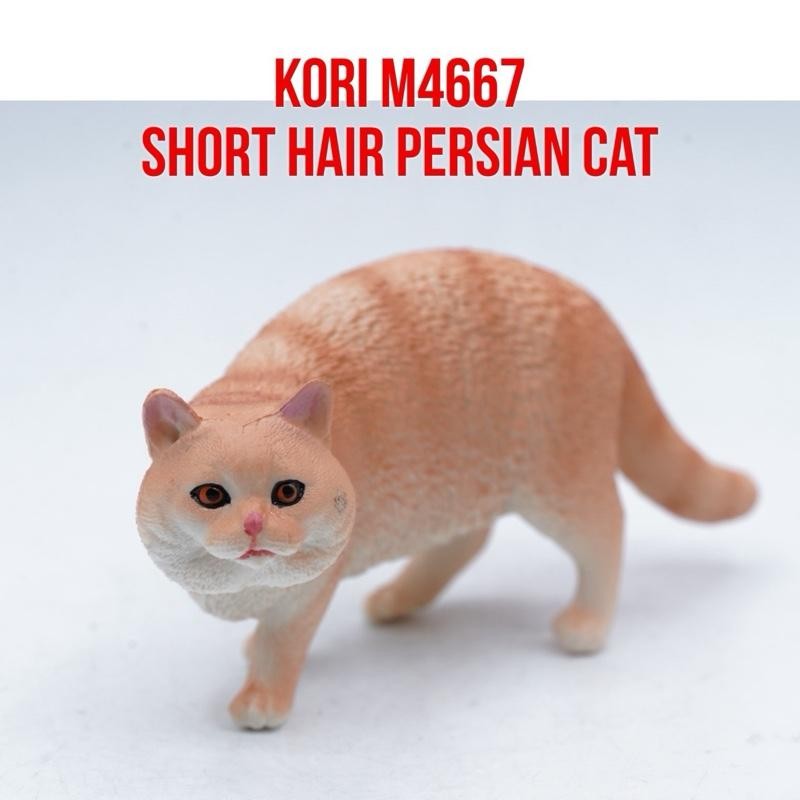 KORI Orange Short Hair Persian Cat Kucing Persia Felis Catus Mainan Figure Binatang Miniature Hewan 
