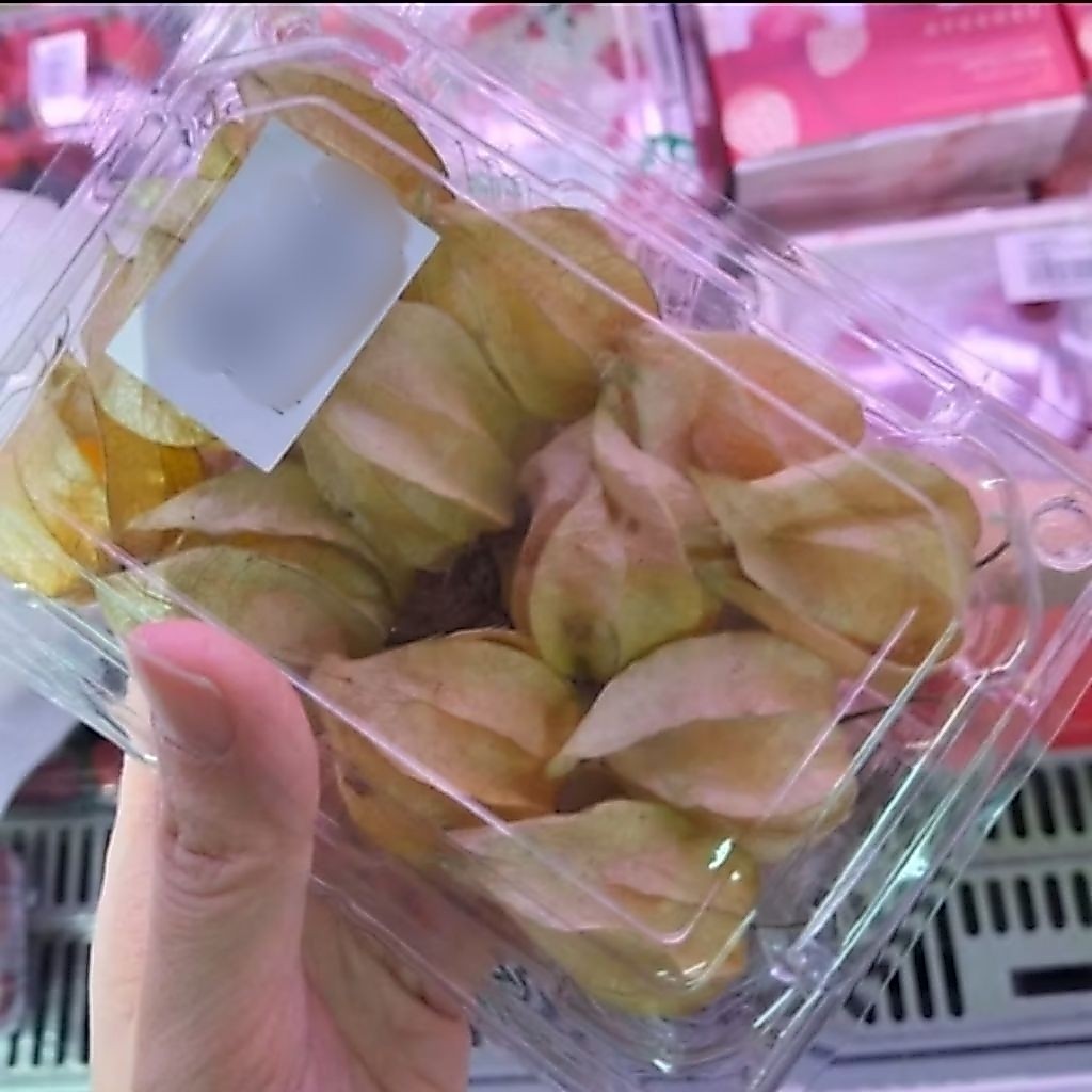 [1 Pack] Buah Ciplukan / Ciplukan Segar / Golden Berry