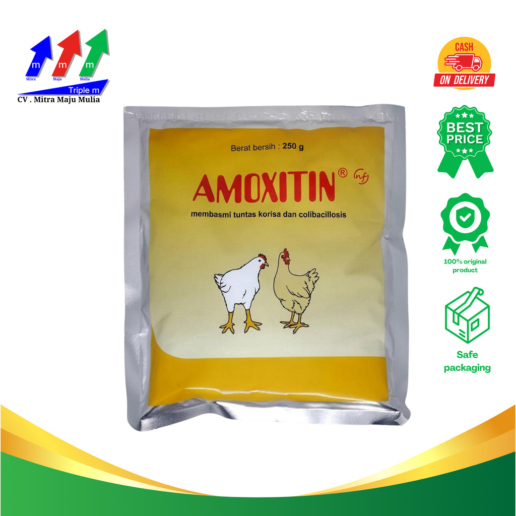 Amoxitin 250 gram MEDION obat korisa