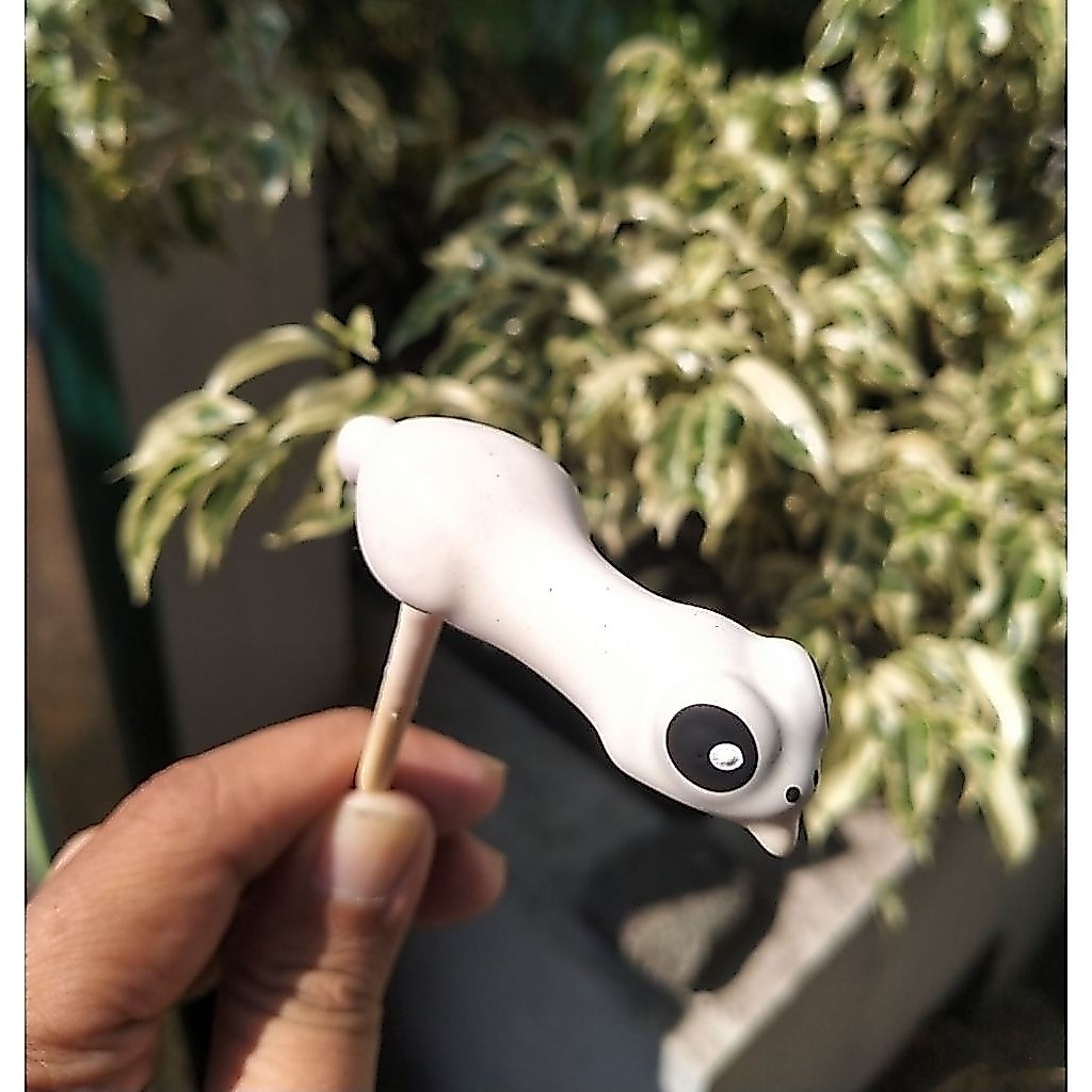 Molding Soft Frog Geol
