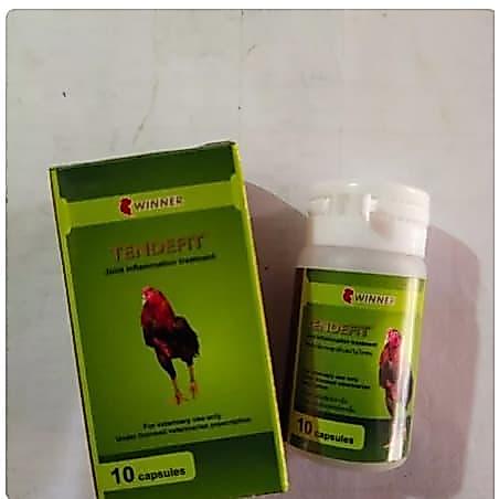 TENDEFIT OBAT AYAM TURUN URAT NYERI KAKI BENGKAK KAKI MEDION