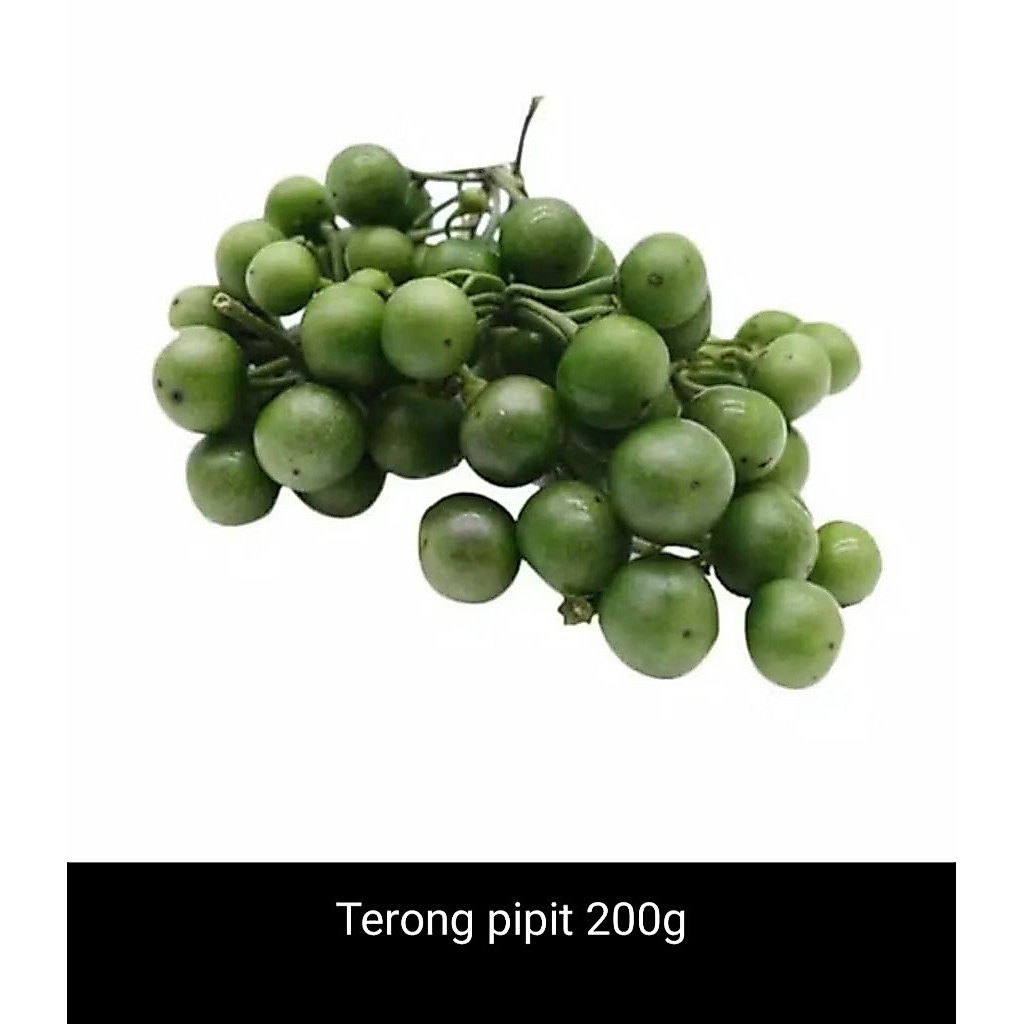 Terong pipit 200g/ sayur terong pipit 200g